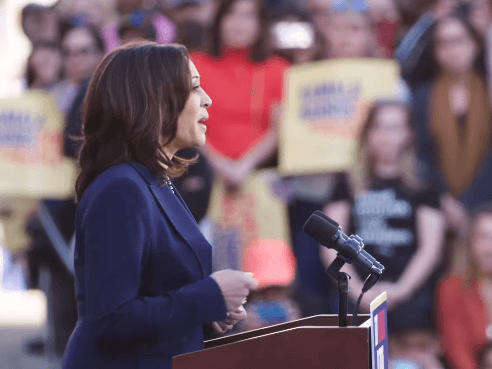 Secret Service agent removed from Harris’s security detail after ‘distressing’ behavior