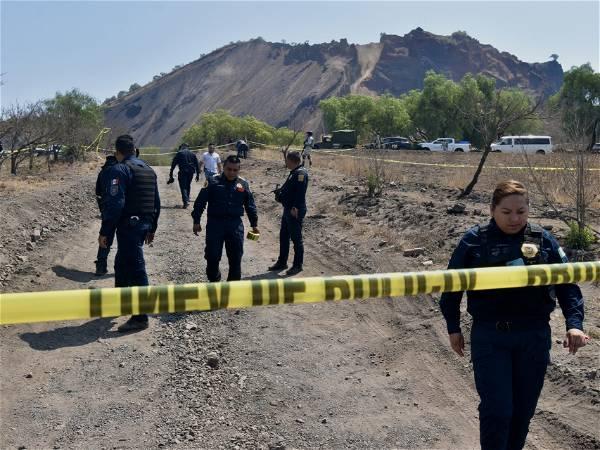 After hunt for clandestine crematorium in Mexico City, police say bones found were ‘animal origin’