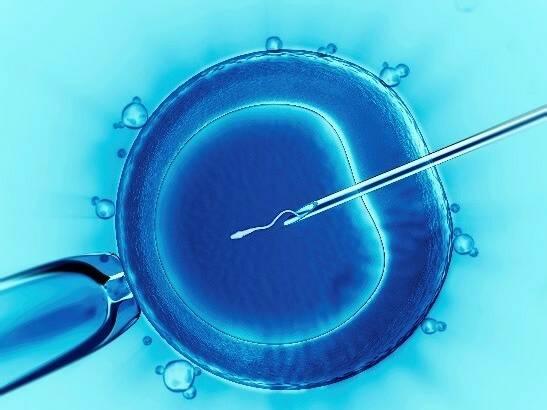Alabama court won’t revisit frozen embryo ruling